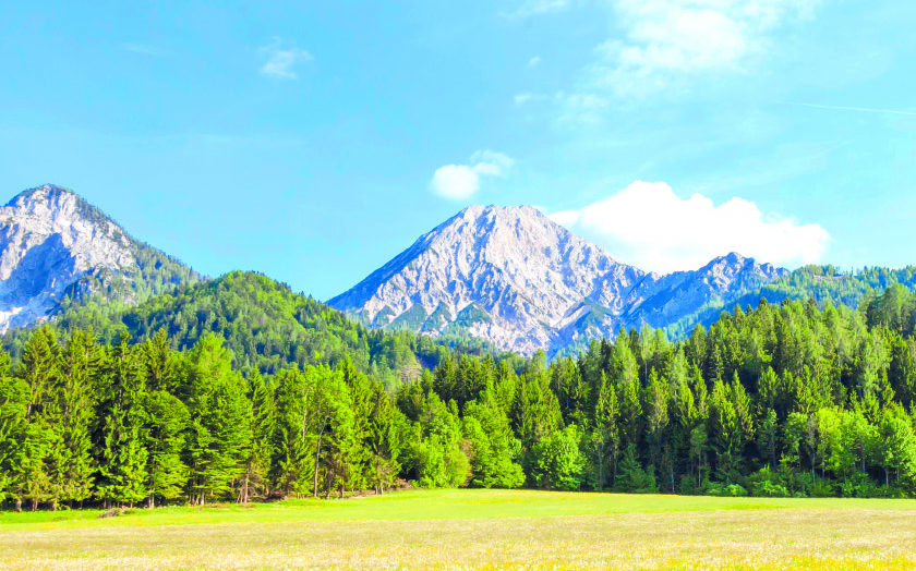 Karawankenblick at sunny side of Selpritsch