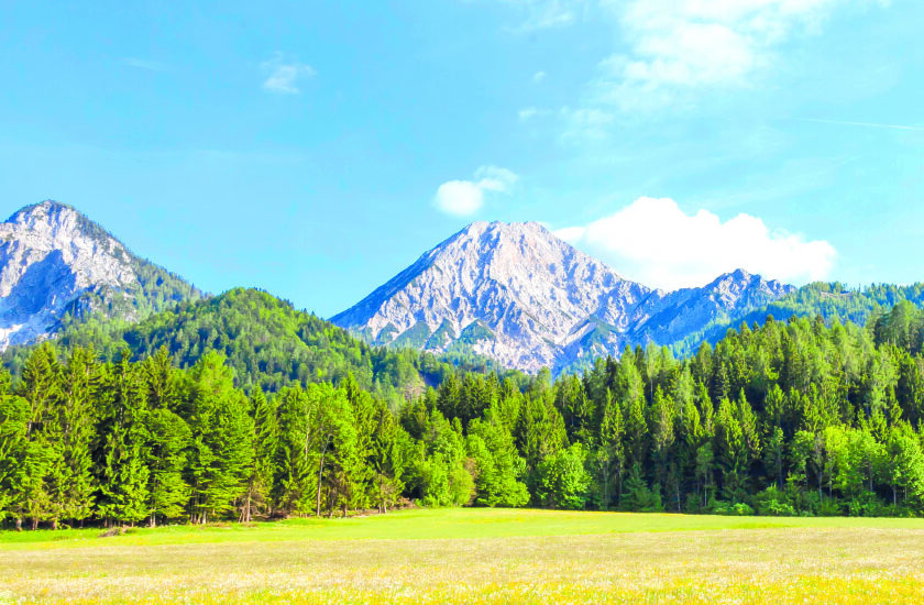 Karawankenblick am Sonnenhang von Selpritsch